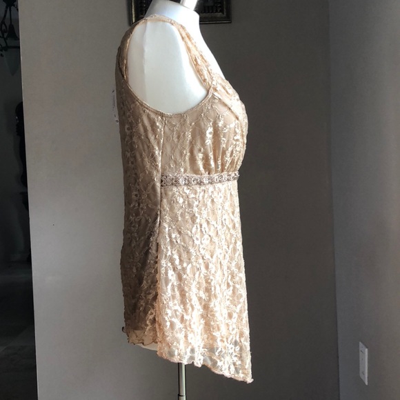 dressbarn Lace Top - Picture 3 of 6